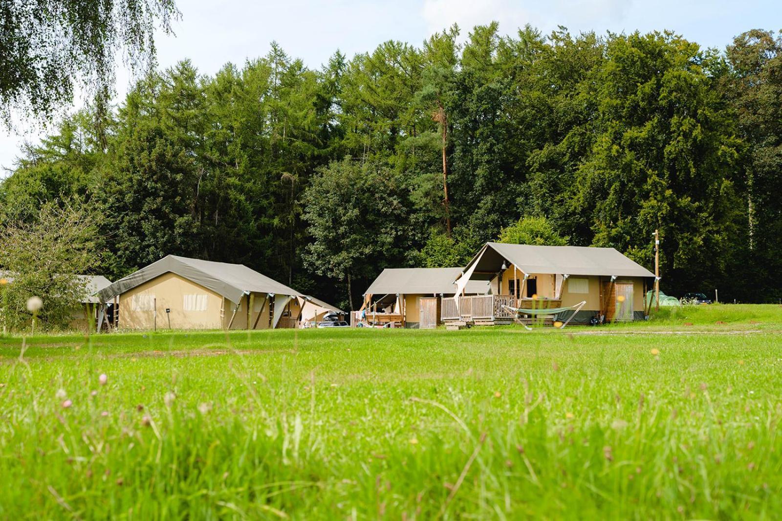 Campo de lujo Glamping